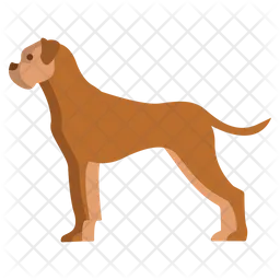 Boxer Dog  Icon