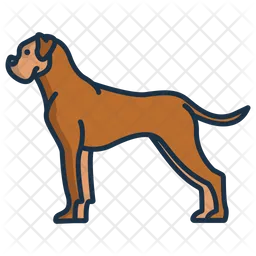 Boxer Dog  Icon