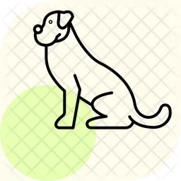 Boxer  Icon