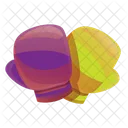 Boxer  Icon