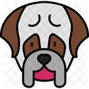 Boxer  Ícone
