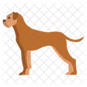 Boxerhund  Symbol