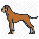 Boxerhund  Symbol