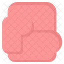 Boxing Glove  Icon