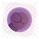 Boxing Glove  Icon