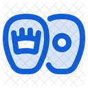 Boxing Pads Punching Mitts Training Icon