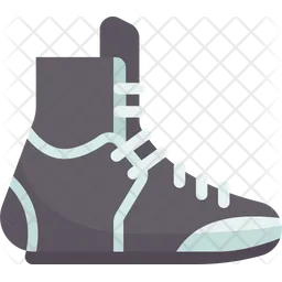 Boxing Shoes  Icon