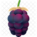 Boysenbeere  Symbol