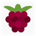 Boysenberries Cherries Hackberry Icon