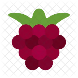 Boysenberries  Icon