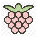 Boysenberries  Icon
