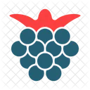 Cherries Hackberry Voavanga Icon