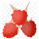 Boysenberry Berries Berry Fruit Icon