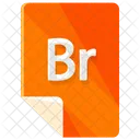Br file  Icon