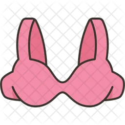 Bra  Icon