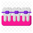 Braces Tooth Braces Tooth Icon
