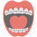 Mouth Teeth Braces Icon