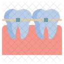Braces Teeth Tooth Icon