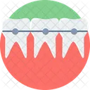 Braces  Icon
