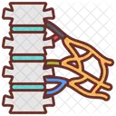 Brachial plexus  Icon