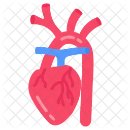 Brachiocephalic artery  Icon