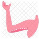 Brachioplastik Icon