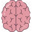 Brain Organ Human Organs Icon