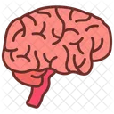 Brain Mind Body Part Icon