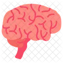 Brain Mind Body Part Icon