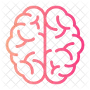 Brain Brainstorm Human Brain Icon