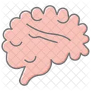 Brain Awesome Lineal Color Icon Icon