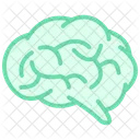 Brain Color Outline Icon Icon