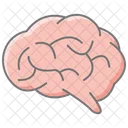 Brain Awesome Lineal Color Icon Icon