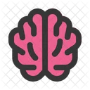 Brain Brainstorming Brainstorm Icon
