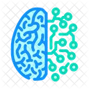 Brain Circuitry Neuroscience Icon