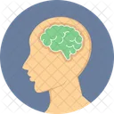 Brain Mind Anatomy Icon