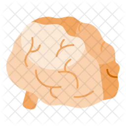 Brain  Icon