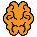 Brain  Icon