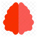 Brain  Icon