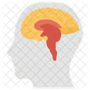 Human Brain Cerebrum Mind Icon