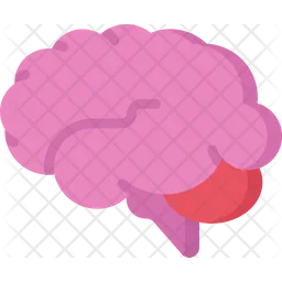 Brain  Icon