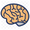 Brain Neural System Body Organ Icon