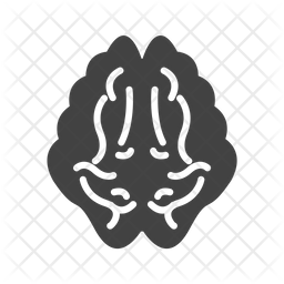 Brain Icon