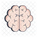 Mind Brain Human Brain Icon