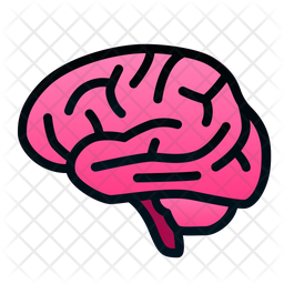 Brain Icon
