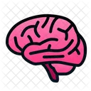 Brain Human Organ Icon