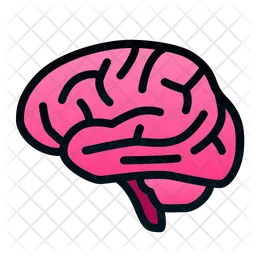 Brain  Icon