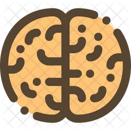 Brain  Icon