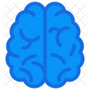 Brain Mind Intellect Icon