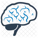 Brain Brainstorming Neuroscience Icon